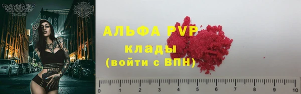 мдпв Вяземский
