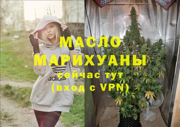 мдпв Вяземский