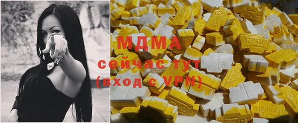 мдпв Вяземский