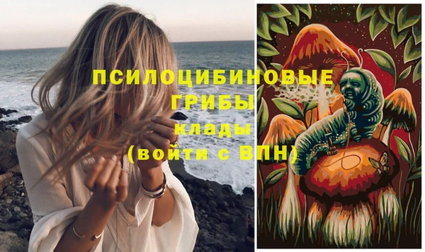 мдпв Вяземский