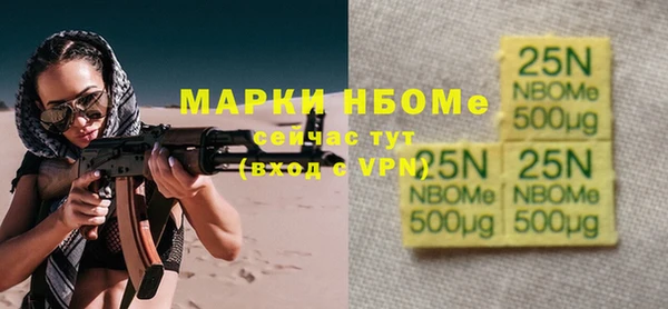 Альфа ПВП Горняк